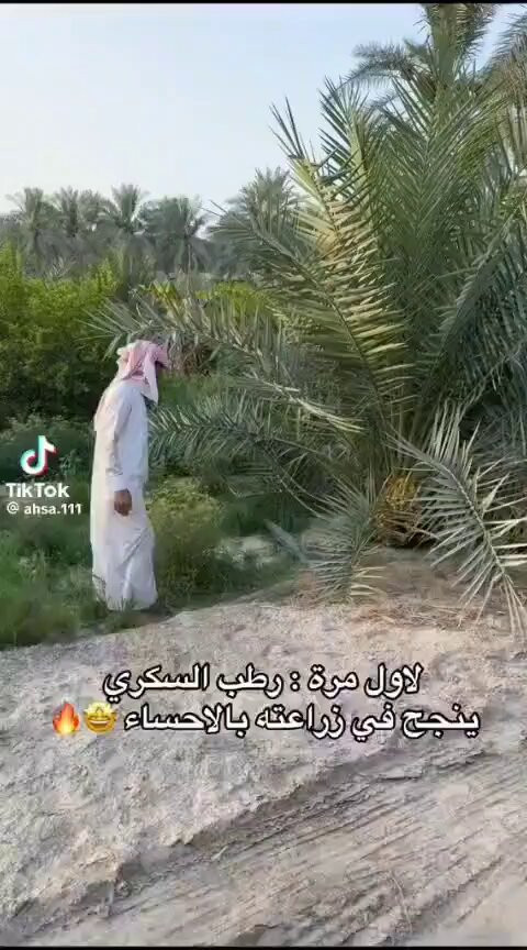 sR Xh7hlh Y55yIV.jpg