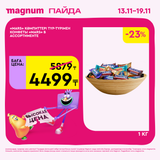 Magnum 1620x1620 1 tov 2025 11 12T122326.815