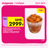 Magnum 1620x1620 1 tov 2025 11 12T122345.711