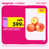 Magnum 1620x1620 1 tov 2025 11 12T122350.816