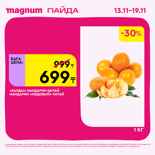 Magnum 1620x1620 1 tov 2025 11 12T122351.942.png