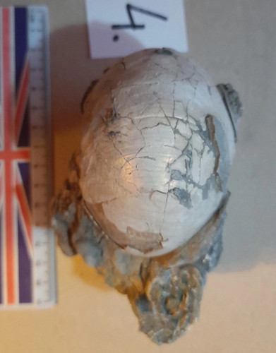 cmnzK8XuRqpPKTvmHc6pY UZQe9ktsQuXufwtmrPtz6GRsgMjt6Gl0xwgl9dariaTr3EbBPXYdCkJSPmhytucbYy