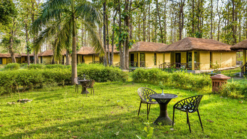Reconnect with Nature at Bijrani Jungle Cottages.jpg