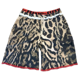 image 2025 11 12 182325757 removebg preview.png