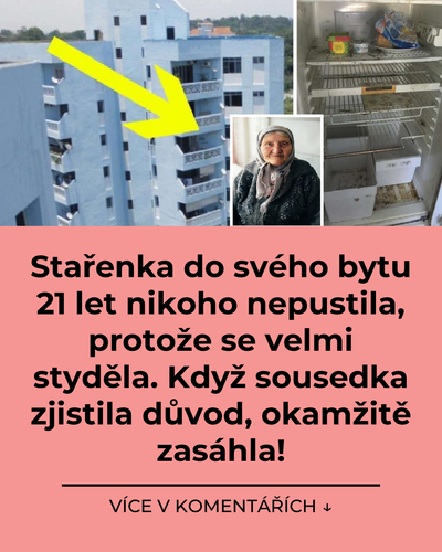 015 starenka do sveho bytu 21 let nikoho nepustila protoze se velmi stydela kdyz sousedka zjistila d.png
