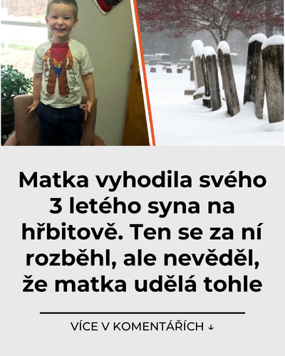 042 matka vyhodila sveho 3 leteho syna na hrbitove ten se za ni rozbehl ale nevedel ze matka udela t.png