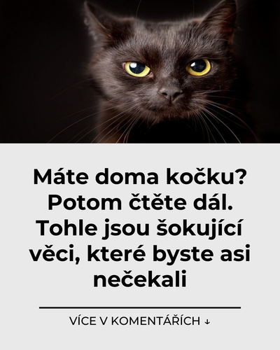 074 mate doma kocku potom ctete dal tohle jsou sokujici veci ktere byste asi necekali.png