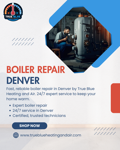 Denver Boiler Repair Experts – True Blue Heating and Air.png