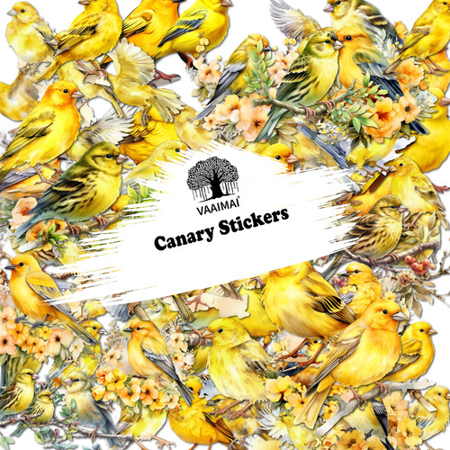 AMZ VAAIMAI 166B.jpg