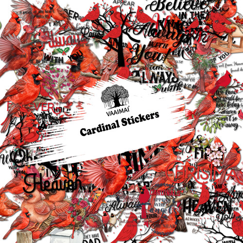 AMZ VAAIMAI 167B.jpg