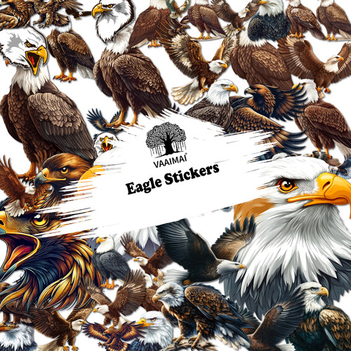 AMZ VAAIMAI 175B.jpg