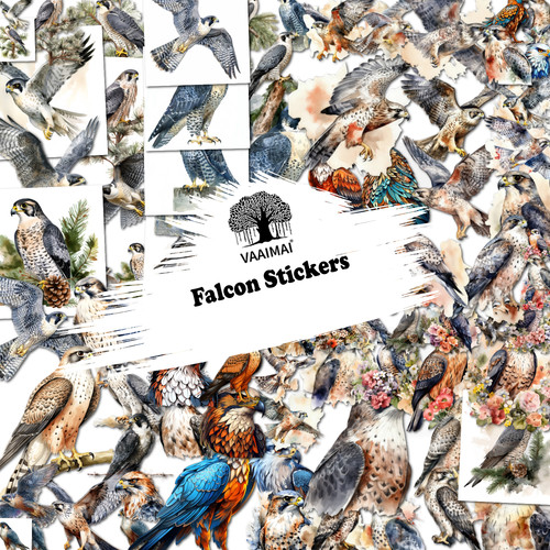 AMZ VAAIMAI 176B.jpg