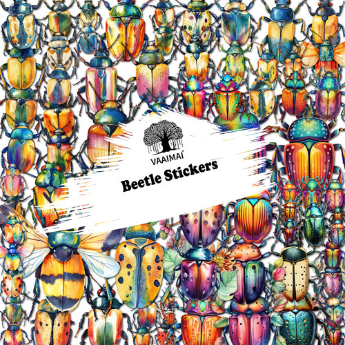 AMZ VAAIMAI 127B.jpg