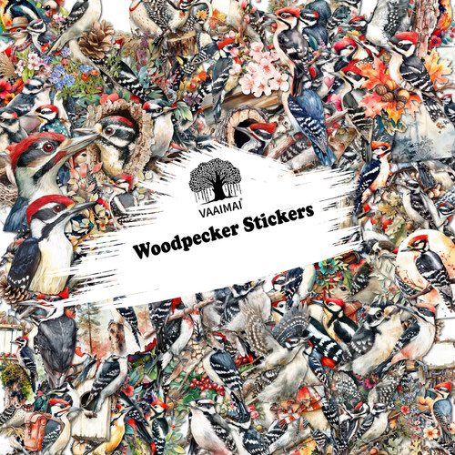 AMZ VAAIMAI 203B.jpg