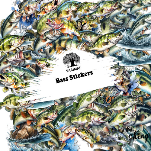 AMZ VAAIMAI 206B.jpg