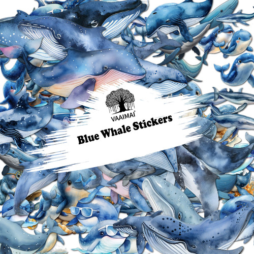 AMZ VAAIMAI 208B.jpg