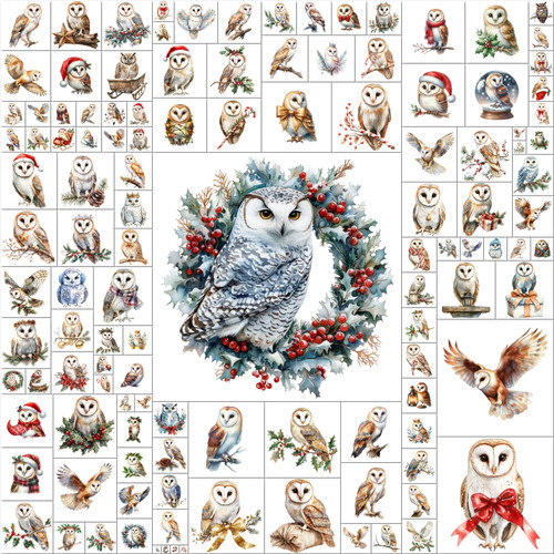 Made using TurboCollage from www.TurboCollage.com.jpg