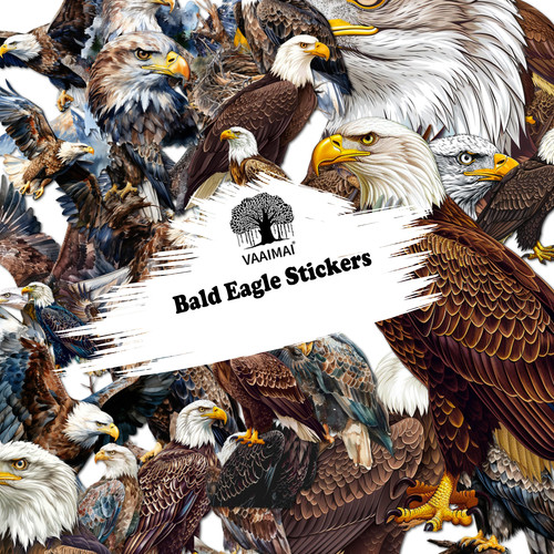 AMZ VAAIMAI 162B.jpg