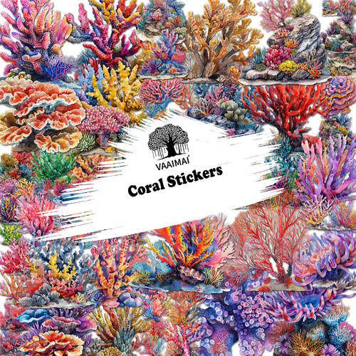 AMZ VAAIMAI 141B.jpg