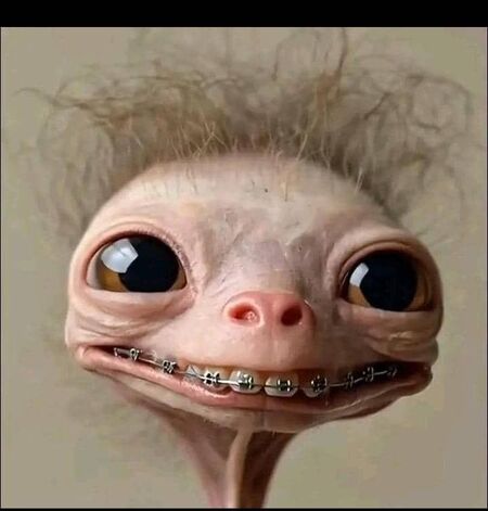 imageedit 186 2224432371.jpg