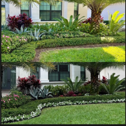 Landscape Designers Boca Raton.png
