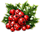 holly.png