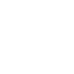 Globe icon, representing the global reach and international increased profile views gained by using the service.
