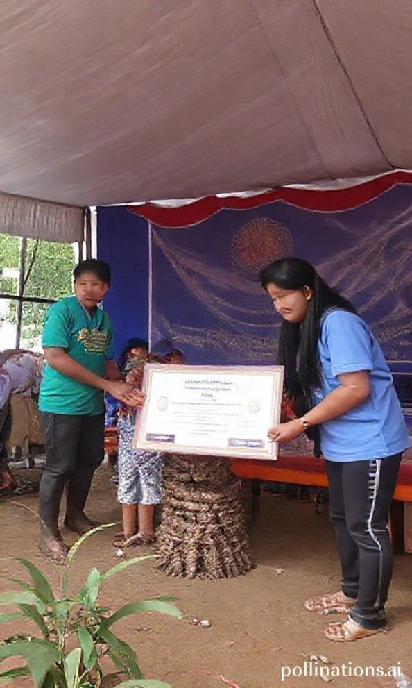 Is the Gawad Kalasag really rewarding disaster resilience?
