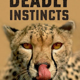 oie 11192236FHoMom5v