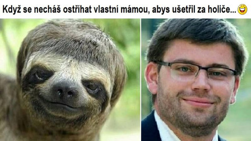 hcUpBRF6lGb s720x720.jpg