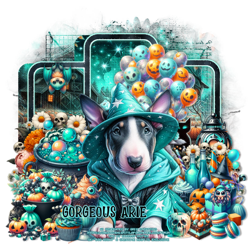 Chrissy BooNightGorgeousArie vi