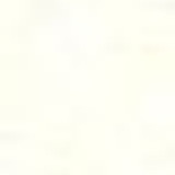 anoonlightstrip 4