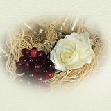 anoonwelcomepic
