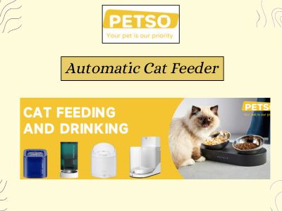 Convenient Automatic Cat Feeder for Busy Pet Owners.jpg