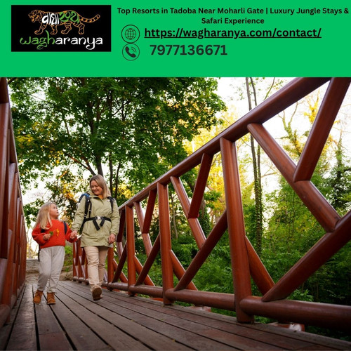Top Resorts in Tadoba Near Moharli Gate | Luxury Jungle Stays & Safari Experience.jpg