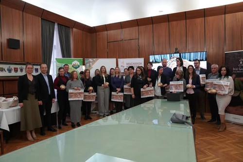 581308730 1268418281758164 2283615855677318783 n.jpg?stp=dst jpg s590x590 tt6& nc cat=110&ccb=1 7& n.jpg