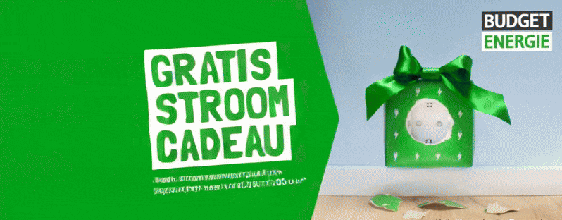 Budget Energie reviews en goedkope deals