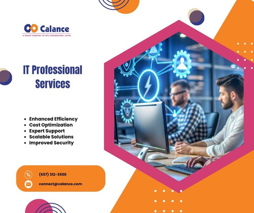 IT Professional Services.jpg