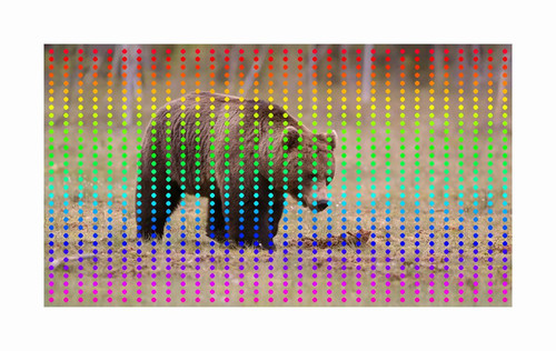 jUQPB5zY thH8ui7.jpg