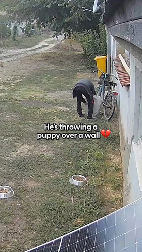 oosTWwhuwKJ5Dg K.jpg