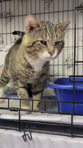 C fnO1t Dlj poDZ.jpg