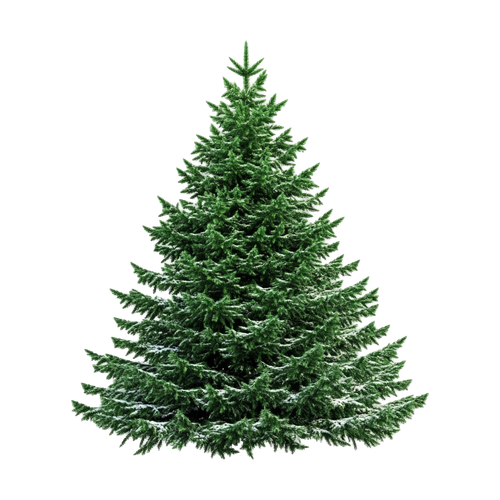 407807640 2a00a33c 35eb 4757 a3b5 aa6e2814ab2a.png