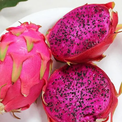 online plant bazar pink dragon f (1).jpg