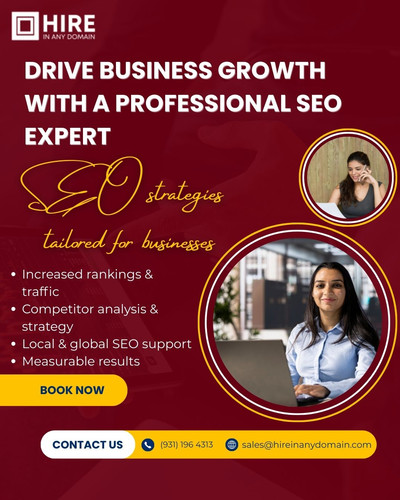Professional SEO Expert for Businesses.jpg