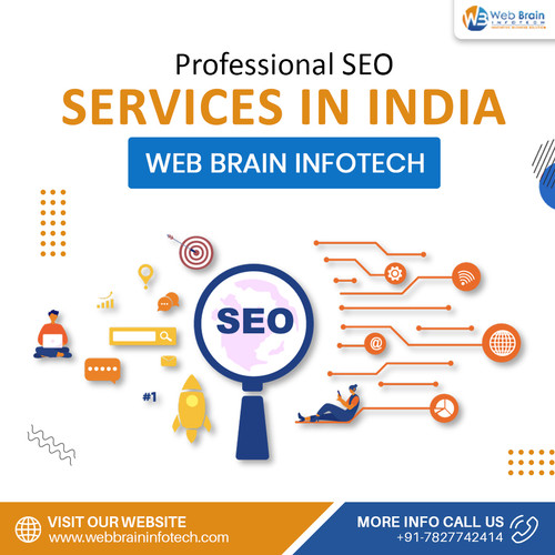 Professional SEO Services in India – Web Brain Infotech.jpg