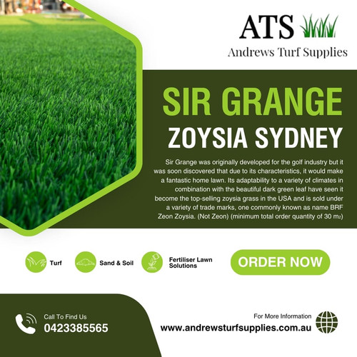 Sir grange zoysia sydney.jpg