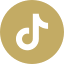 tiktok.png