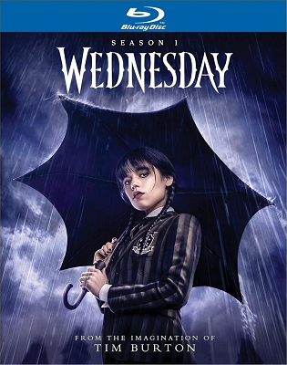 Mercoledì - Stagione 1 (2022).mkv BluRay 1080p ITA ENG DDP5.1 x264 [Completa]