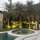 Jardim Iluminação (3)