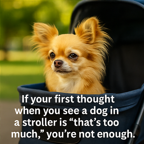 ChatGPT Image Sep 2, 2025, 08 29 01 AM 004.png